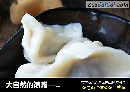 大自然的馈赠---山蘑猪肉饺