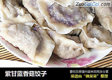 紫甘蓝香菇饺子