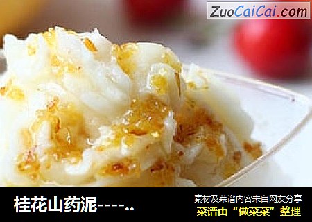 桂花山药泥----营养美味甜品