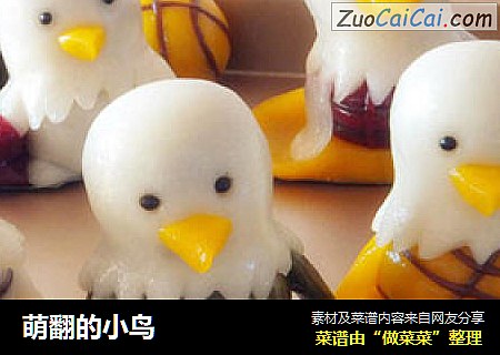 萌翻的小鸟