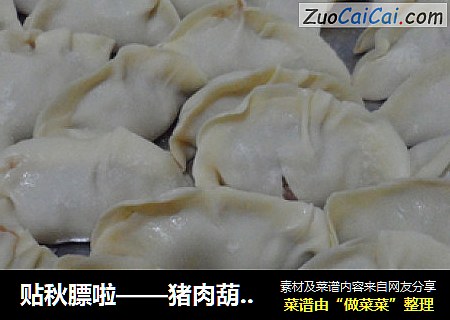 贴秋膘啦——猪肉葫芦蒸饺