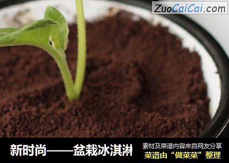 新时尚——盆栽冰淇淋