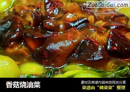 香菇烧油菜