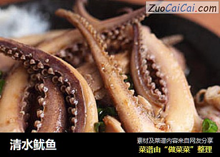 清水鱿鱼