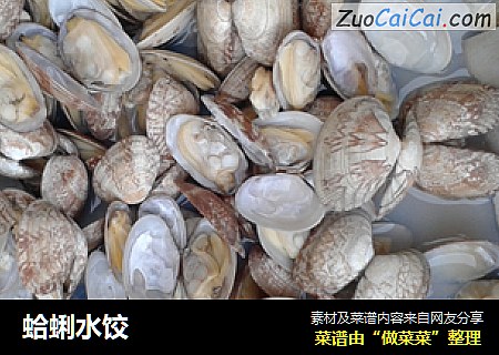 蛤蜊水饺