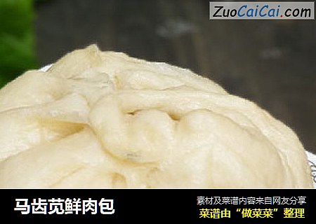 马齿苋鲜肉包