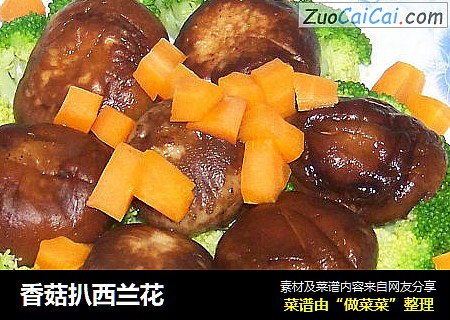 香菇扒西兰花