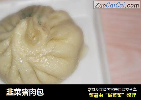 韭菜猪肉包