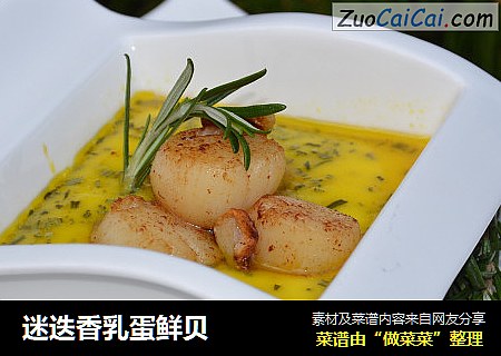 迷迭香乳蛋鲜贝