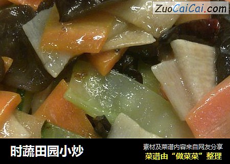 时蔬田园小炒