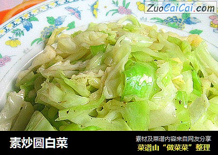 素炒圆白菜