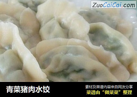 青菜猪肉水饺
