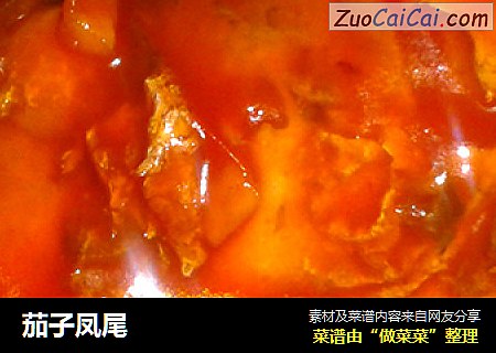 茄子凤尾