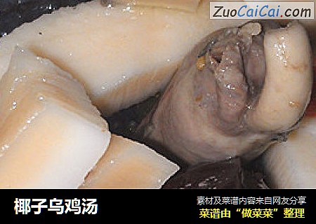 椰子乌鸡汤
