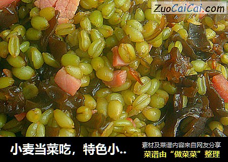 小麦当菜吃，特色小炒-【小炒青麦仁】