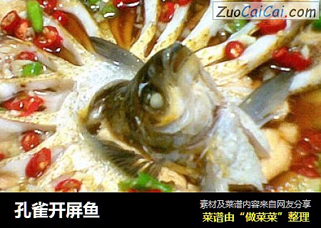 孔雀开屏鱼