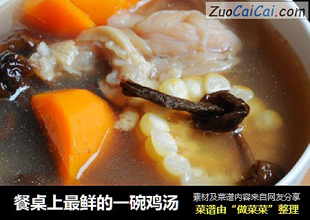 餐桌上最鲜的一碗鸡汤