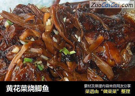黄花菜烧鲫鱼
