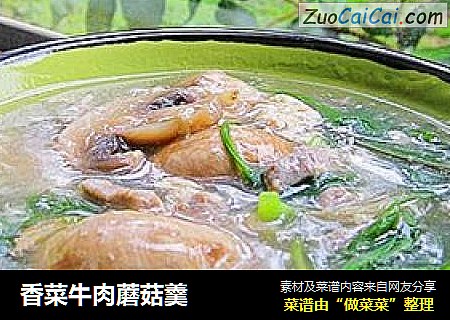 香菜牛肉蘑菇羹