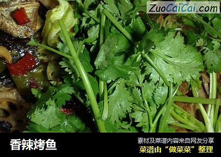 香辣烤鱼