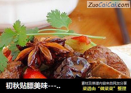 初秋贴膘美味-----【五味香辣鸭】