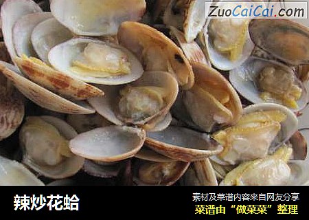 辣炒花蛤
