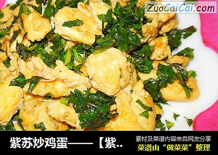 紫苏炒鸡蛋——【紫苏系列4】