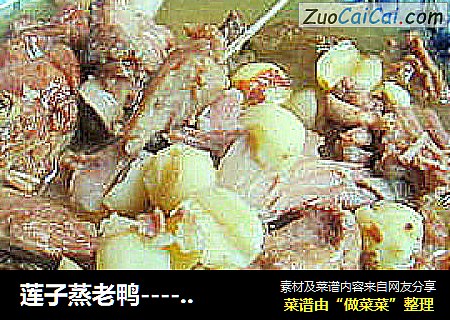 莲子蒸老鸭----------秋节进补