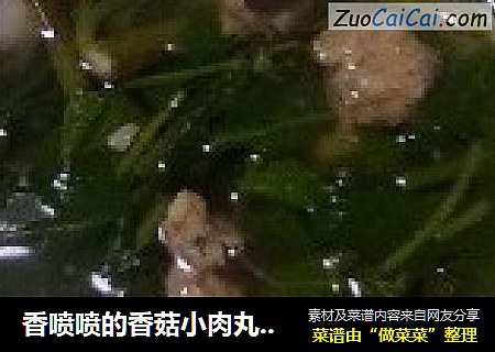 香喷喷的香菇小肉丸——两吃法