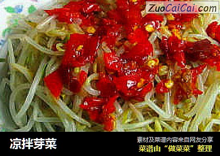 凉拌芽菜