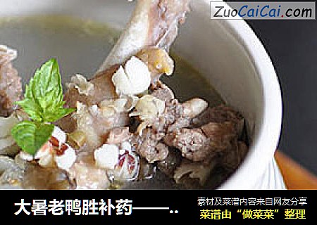 大暑老鸭胜补药——冬瓜绿豆老鸭汤