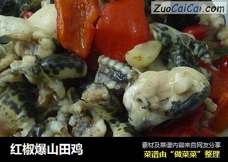 红椒爆山田鸡
