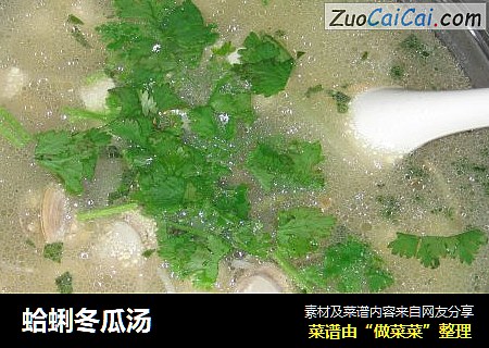 蛤蜊冬瓜汤