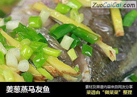 姜葱蒸马友鱼