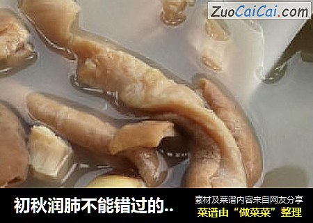 初秋润肺不能错过的一道汤——【莲子猪肚汤】