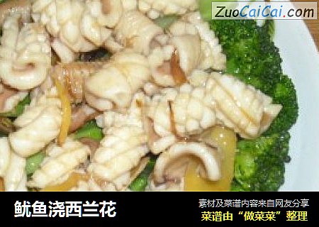 鱿鱼浇西兰花