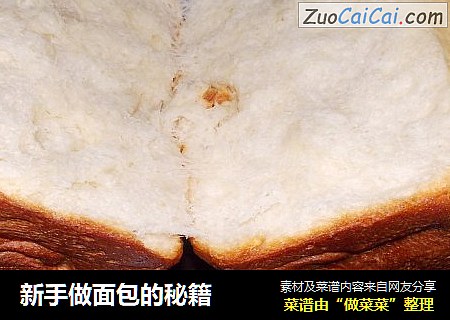 新手做面包的秘籍