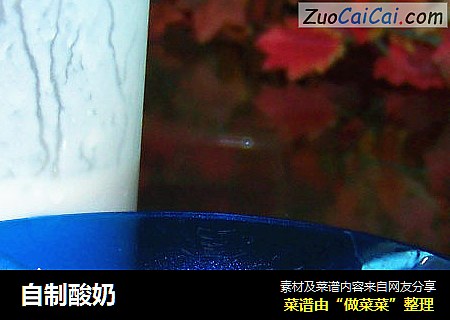 自制酸奶