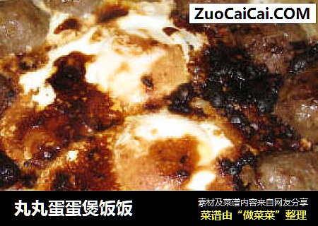 丸丸蛋蛋煲饭饭