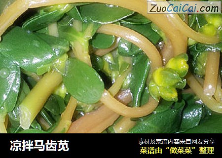凉拌马齿苋