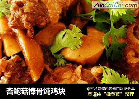 杏鲍菇棒骨炖鸡块