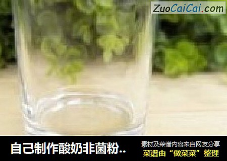 自己制作酸奶非菌粉无添加剂