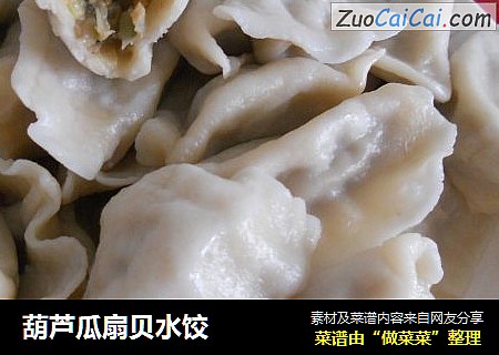 葫芦瓜扇贝水饺