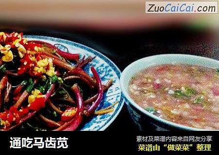 通吃马齿苋