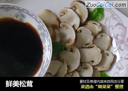 鲜美松茸