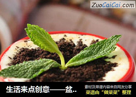 生活来点创意——盆栽鸳鸯奶茶