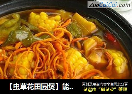 【虫草花田园煲】能提高免疫力的鲜蔬汤！