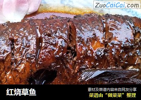 红烧草鱼