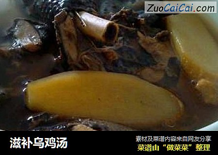 滋补乌鸡汤