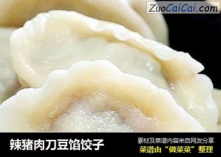 辣猪肉刀豆馅饺子